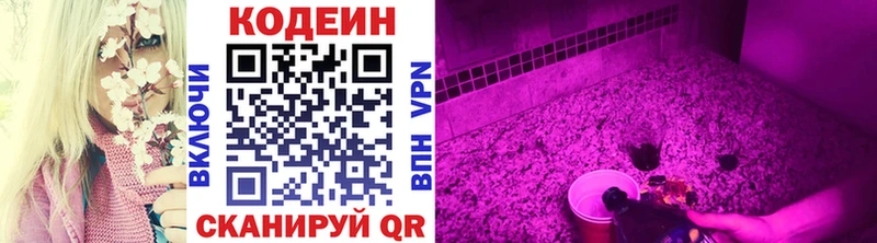 купить наркотик  Чкаловск  Codein Purple Drank 