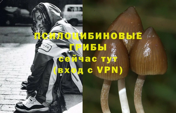 дурь Алзамай