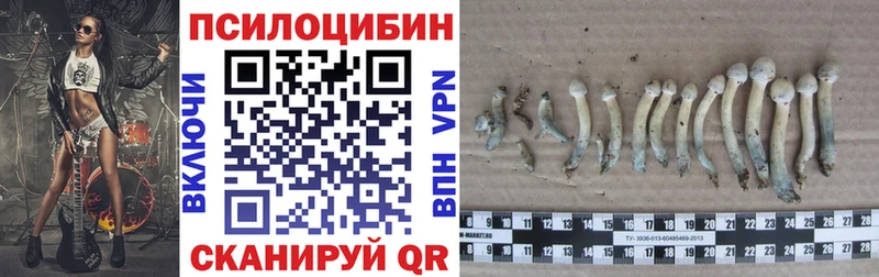 Галлюциногенные грибы Cubensis  Чкаловск 